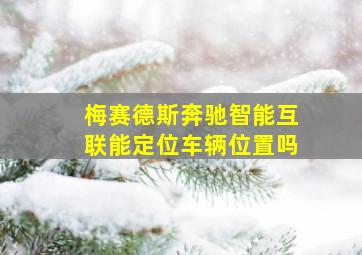 梅赛德斯奔驰智能互联能定位车辆位置吗