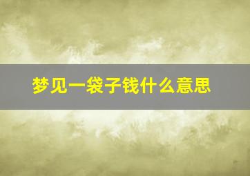 梦见一袋子钱什么意思