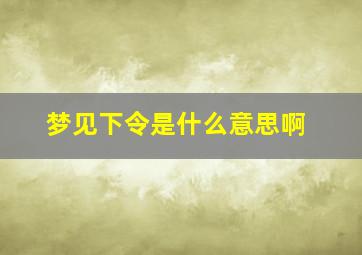 梦见下令是什么意思啊