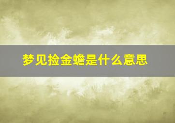 梦见捡金蟾是什么意思