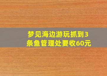 梦见海边游玩抓到3条鱼管理处要收60元