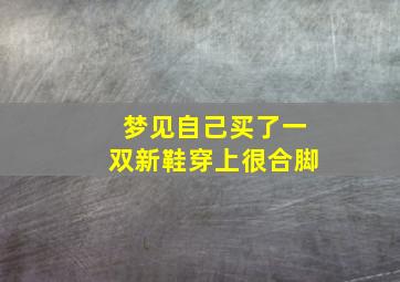 梦见自己买了一双新鞋穿上很合脚