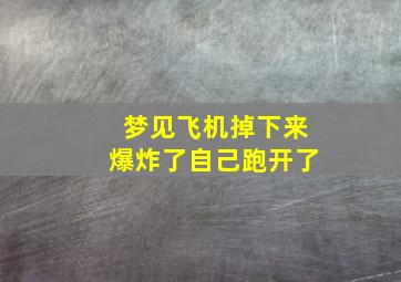 梦见飞机掉下来爆炸了自己跑开了