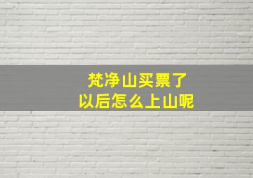 梵净山买票了以后怎么上山呢