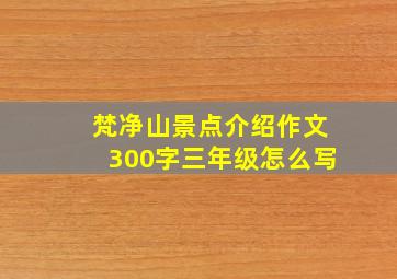 梵净山景点介绍作文300字三年级怎么写