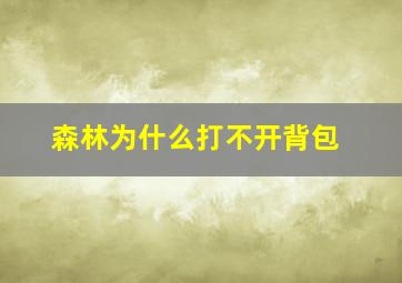 森林为什么打不开背包