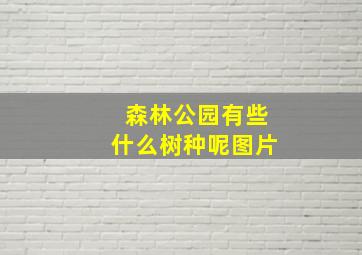 森林公园有些什么树种呢图片