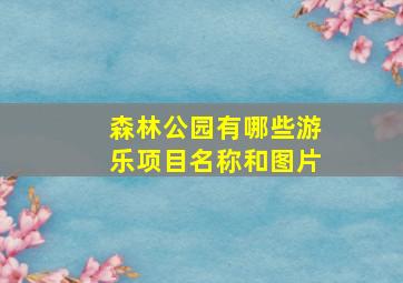 森林公园有哪些游乐项目名称和图片