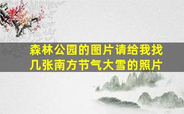 森林公园的图片请给我找几张南方节气大雪的照片