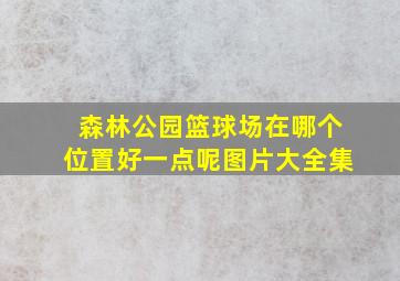 森林公园篮球场在哪个位置好一点呢图片大全集