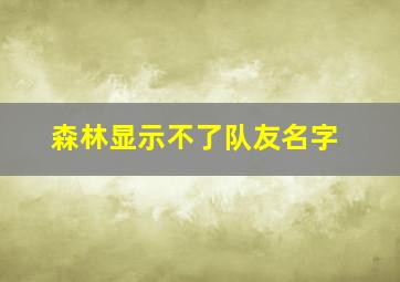 森林显示不了队友名字