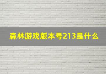 森林游戏版本号213是什么