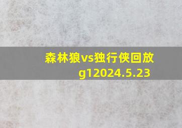 森林狼vs独行侠回放g12024.5.23