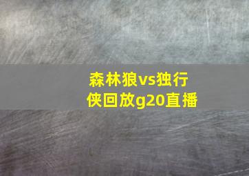 森林狼vs独行侠回放g20直播