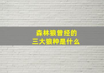 森林狼曾经的三大狼种是什么