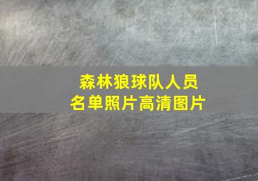 森林狼球队人员名单照片高清图片