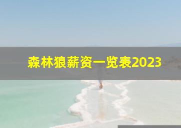 森林狼薪资一览表2023