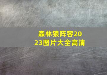 森林狼阵容2023图片大全高清