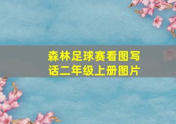 森林足球赛看图写话二年级上册图片