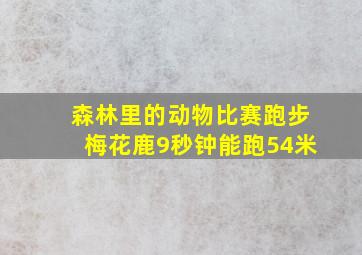 森林里的动物比赛跑步梅花鹿9秒钟能跑54米