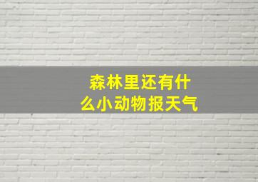 森林里还有什么小动物报天气