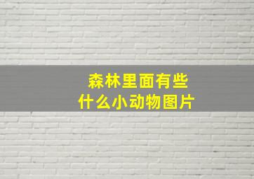 森林里面有些什么小动物图片