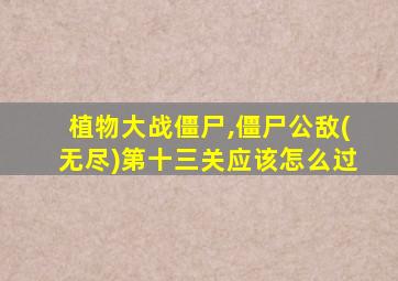 植物大战僵尸,僵尸公敌(无尽)第十三关应该怎么过