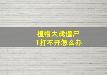 植物大战僵尸1打不开怎么办