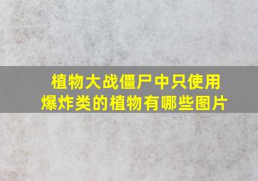 植物大战僵尸中只使用爆炸类的植物有哪些图片