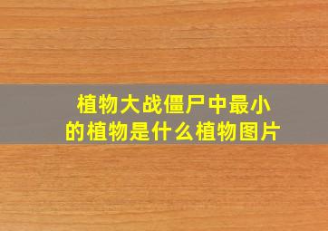 植物大战僵尸中最小的植物是什么植物图片