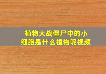 植物大战僵尸中的小细胞是什么植物呢视频