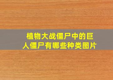 植物大战僵尸中的巨人僵尸有哪些种类图片