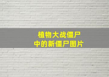 植物大战僵尸中的新僵尸图片