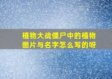 植物大战僵尸中的植物图片与名字怎么写的呀