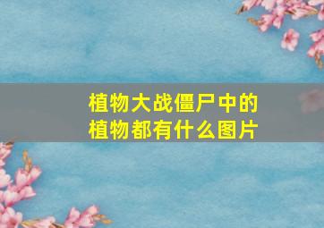 植物大战僵尸中的植物都有什么图片