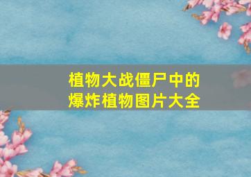 植物大战僵尸中的爆炸植物图片大全