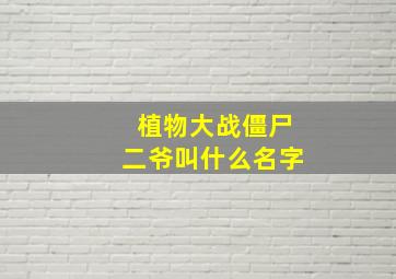 植物大战僵尸二爷叫什么名字