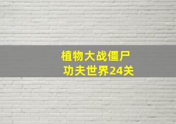 植物大战僵尸功夫世界24关