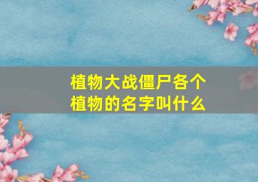 植物大战僵尸各个植物的名字叫什么