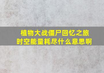 植物大战僵尸回忆之旅时空能量耗尽什么意思啊