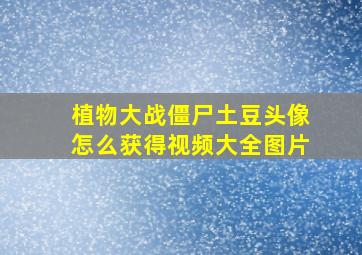 植物大战僵尸土豆头像怎么获得视频大全图片