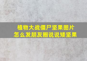 植物大战僵尸坚果图片怎么发朋友圈说说矮坚果