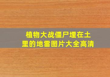 植物大战僵尸埋在土里的地雷图片大全高清