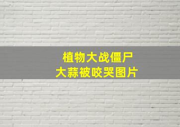 植物大战僵尸大蒜被咬哭图片