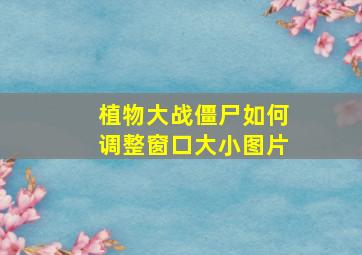 植物大战僵尸如何调整窗口大小图片