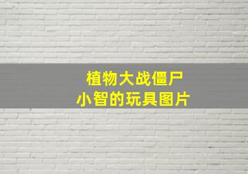 植物大战僵尸小智的玩具图片