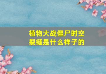 植物大战僵尸时空裂缝是什么样子的