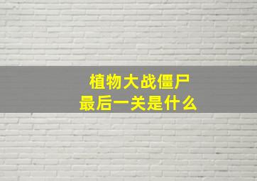 植物大战僵尸最后一关是什么