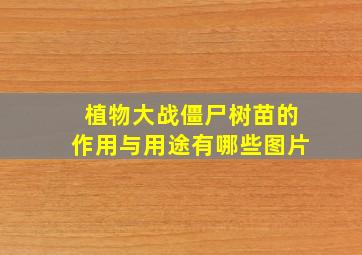 植物大战僵尸树苗的作用与用途有哪些图片