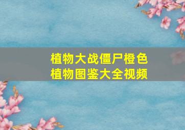 植物大战僵尸橙色植物图鉴大全视频